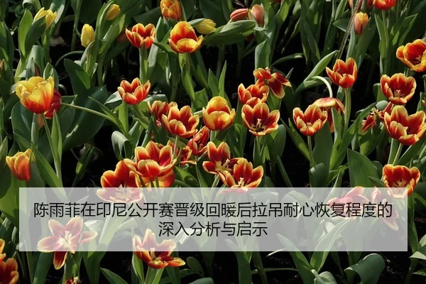 陈雨菲在印尼公开赛晋级回暖后拉吊耐心恢复程度的深入分析与启示